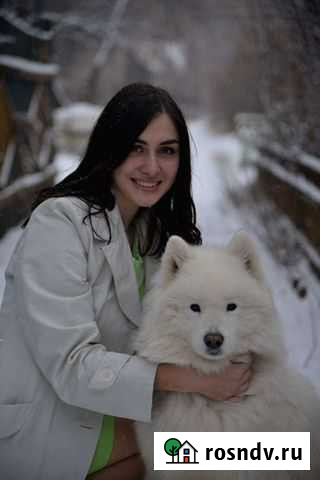 Фотосессия с самоедом Дзержинск - изображение 1