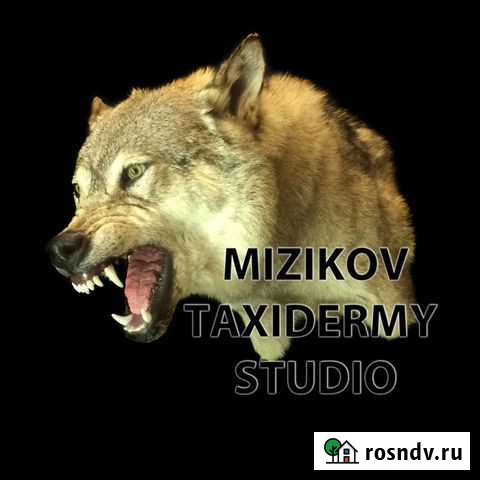 Таксидермия, изготовление чучел Волгоград - изображение 1