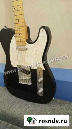 Номерная Блюзовая Гитара Alina Pro Bluesman Telec Волгоград - изображение 1