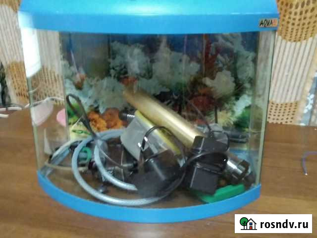 Аквариум Петропавловск-Камчатский - изображение 1