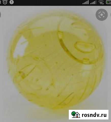 Шар для хомяка Туймазы - изображение 1