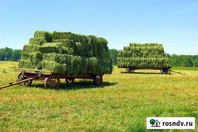 Сено,люцерна,солома Бахчисарай - изображение 1