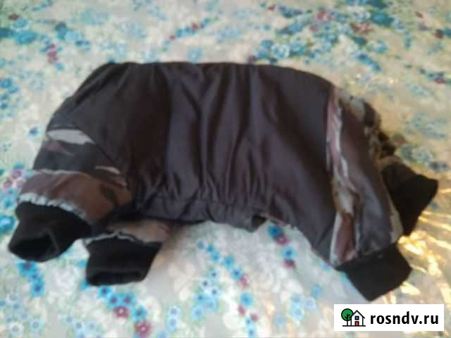 Собачий комбинезон Волжский - изображение 1