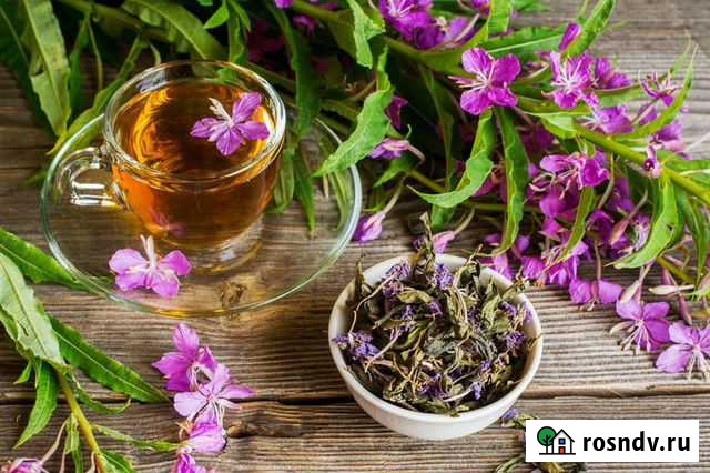 Иван-чай горный Бийск - изображение 1