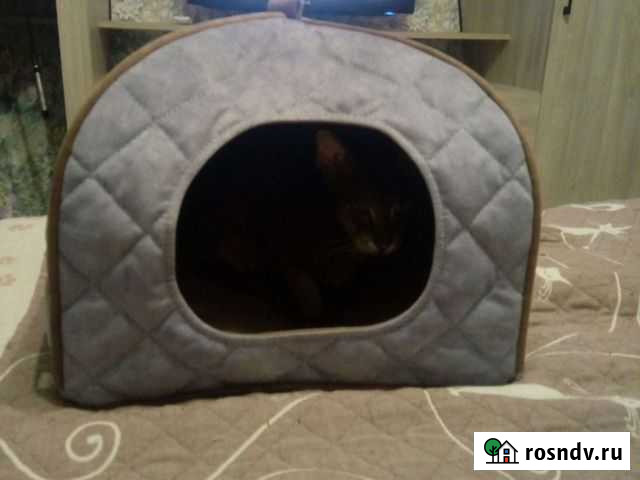 Домик для кошки Кострома - изображение 1