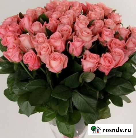 Букет из Роз букет из 101 розы 51 Ростов-на-Дону - изображение 1