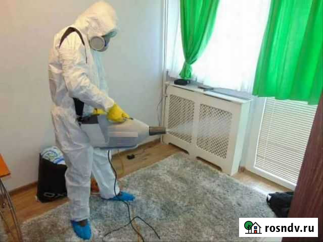 Дезинфекция от тараканов Ижевск - изображение 1