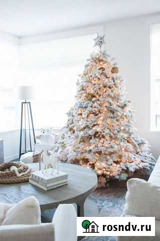 Елки оптом Пермь - изображение 1