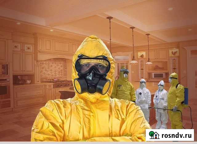 Дезинфекция, дератизация, дезинсекция Нижний Новгород - изображение 1