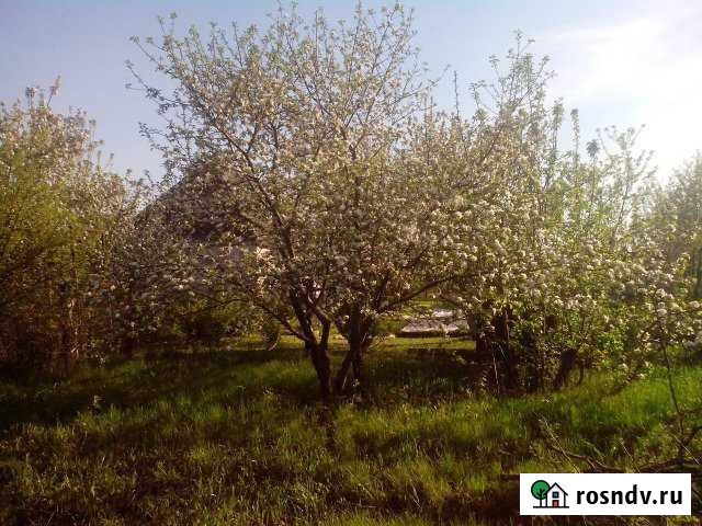 Дача 36 м² на участке 6 сот. на продажу в Новой Усмани Новая Усмань - изображение 1