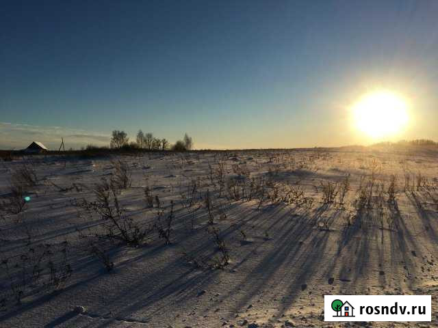 Участок ИЖС 30 сот. на продажу в Сосновском Сосновское - изображение 1