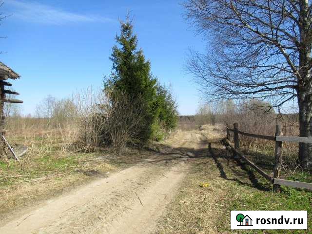 Дом 45 м² на участке 10 сот. на продажу в Шексне Шексна - изображение 1