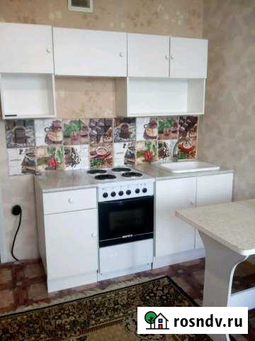 Квартира-студия, 28 м², 1/10 эт. в аренду на длительный срок в Засечном Засечное - изображение 1