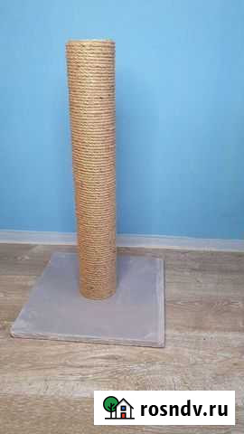 Когтеточка Пластуновская - изображение 1