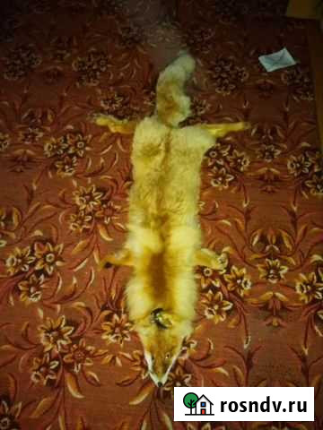 Листья шкура Власиха - изображение 1