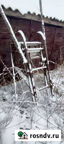 Конные сани Чекмагуш - изображение 1