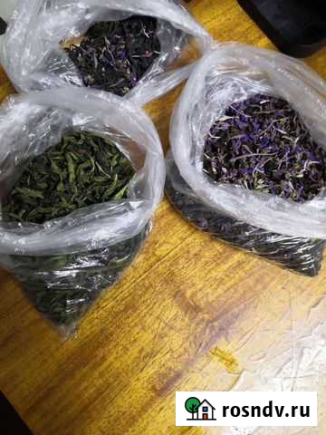 Иван-чай Ижевск - изображение 1