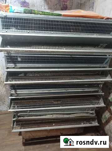 Клетки для перепелов бу Лебедянь - изображение 1