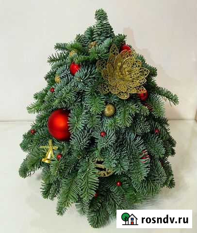 Елка натуральная из нобилиса Тюмень - изображение 1