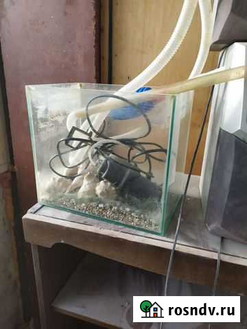 Аквариум Мурманск - изображение 1