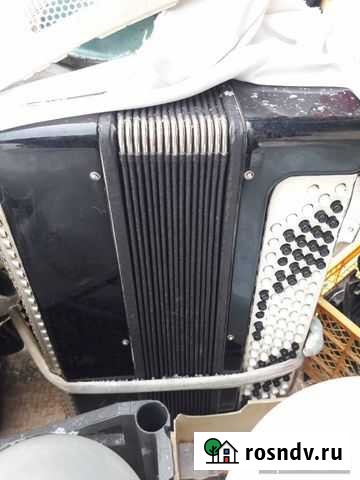 Гармонь и баян Омск - изображение 1