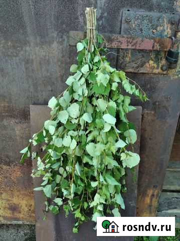 Веники на корм для животных Невьянск - изображение 1