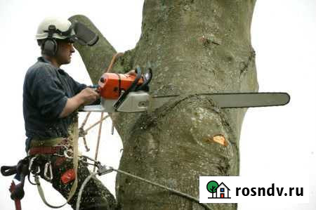 Спил деревьев покос травы,Вывоз,уборка участ Белгород - изображение 1