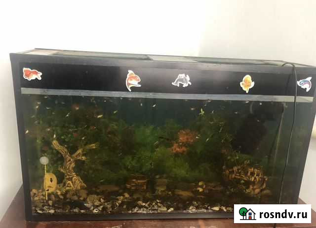 Аквариум 120 литров Абинск - изображение 1