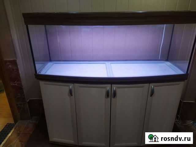 Панорамный аквариум с тумбой 410 литров Тула - изображение 1