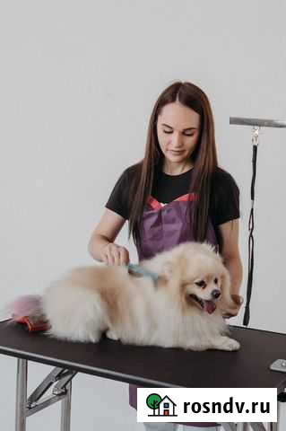 Грумер Москва - изображение 1