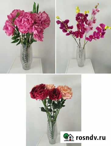 Интерьерные цветы Москва - изображение 1