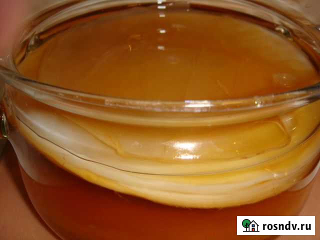 Чайный гриб Сызрань - изображение 1