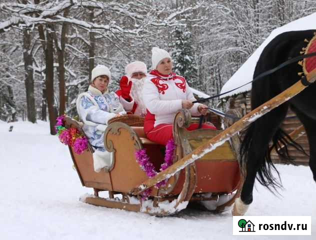 Дед Мороз и Снегурочка придут в гости Нижний Новгород - изображение 1