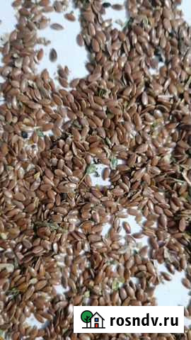 Лён Азово - изображение 1