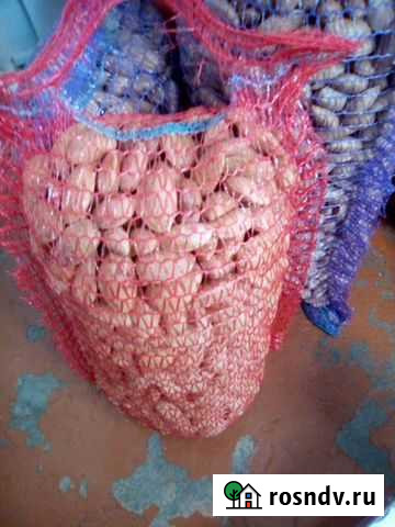 Миндаль Темрюк - изображение 1