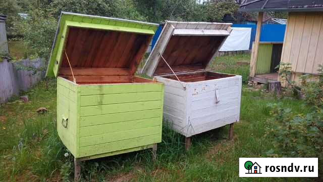 Улики для пчел Советск - изображение 1