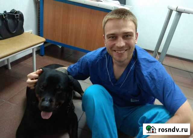Ветеринарный врач на дому Уфа - изображение 1