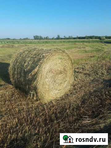 Сено в рулонах Курган - изображение 1