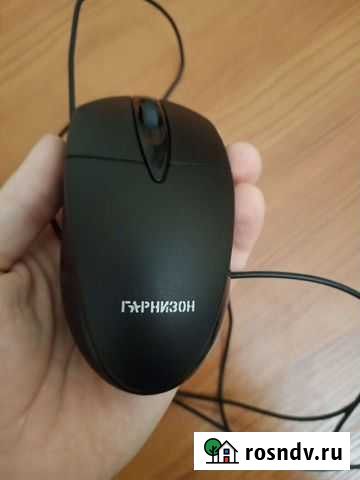 Компьютерная мышь Горнизон Саратов - изображение 1
