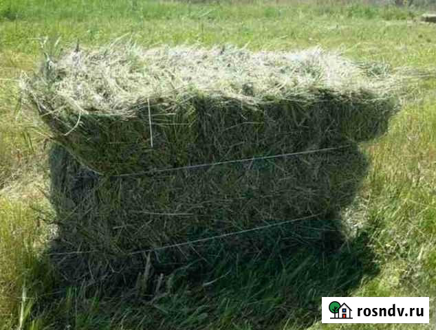 Сено в рулонах и кипах Вышний Волочек - изображение 1