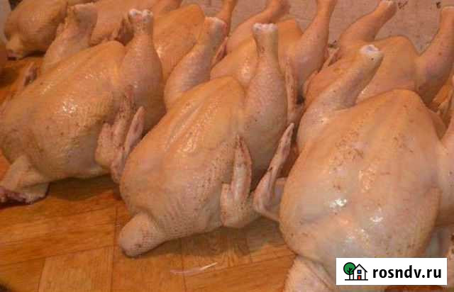 Мясо кур бройлера и суповые куры. Село Красное Арзамас - изображение 1