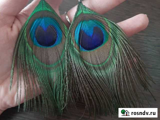 Серьги перья павлина Ростов-на-Дону - изображение 1