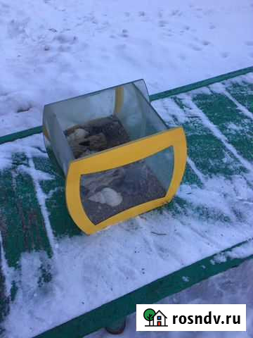 Аквариум Белгород - изображение 1