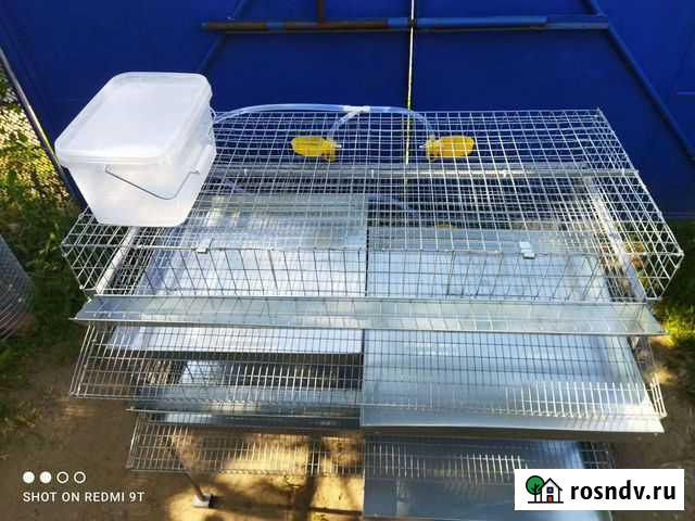 Клетка 2 яруса перепела Тбилисская - изображение 1