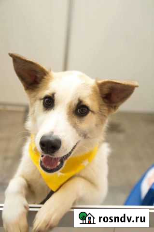 Красавица Ханна ищет самую любящую семью Самара - изображение 1