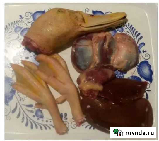 Потроха гусиные Ижевск - изображение 1