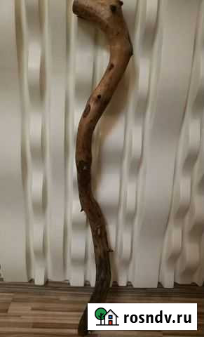 Коряга натуральная/декоративная Железнодорожный - изображение 1