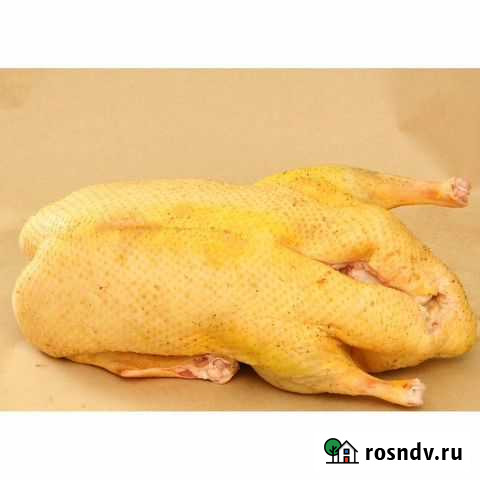 Индоутка Михайловка - изображение 1