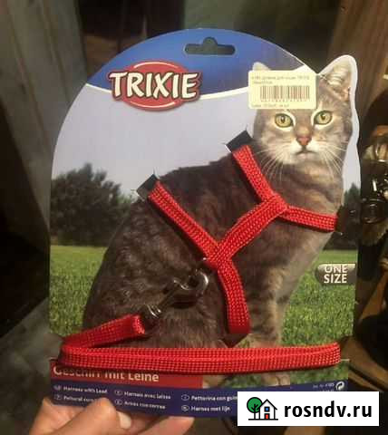 Шлеечка и поводок Лобня - изображение 1