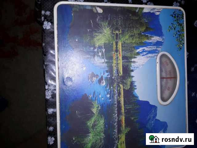 Весы напольные механические Астрахань - изображение 1